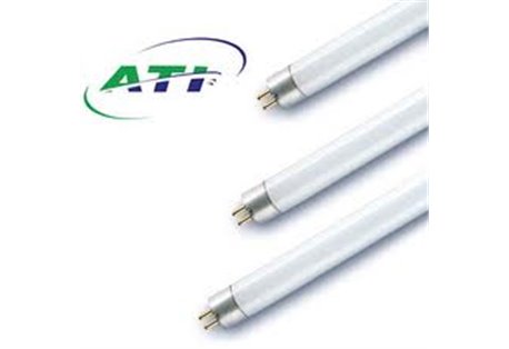 ATI T5 80W Actinic