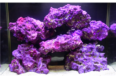 Caribic purple corals stones 18,14kg