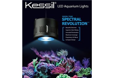 Kessil A360WE Tuna Blue, LED osvětlení (max.90W)